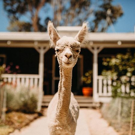 Margaret River Holiday Cottages Eksteriør bilde