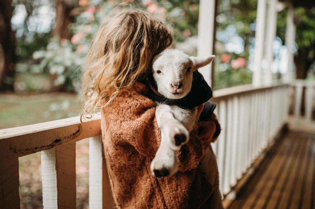 Margaret River Holiday Cottages Eksteriør bilde