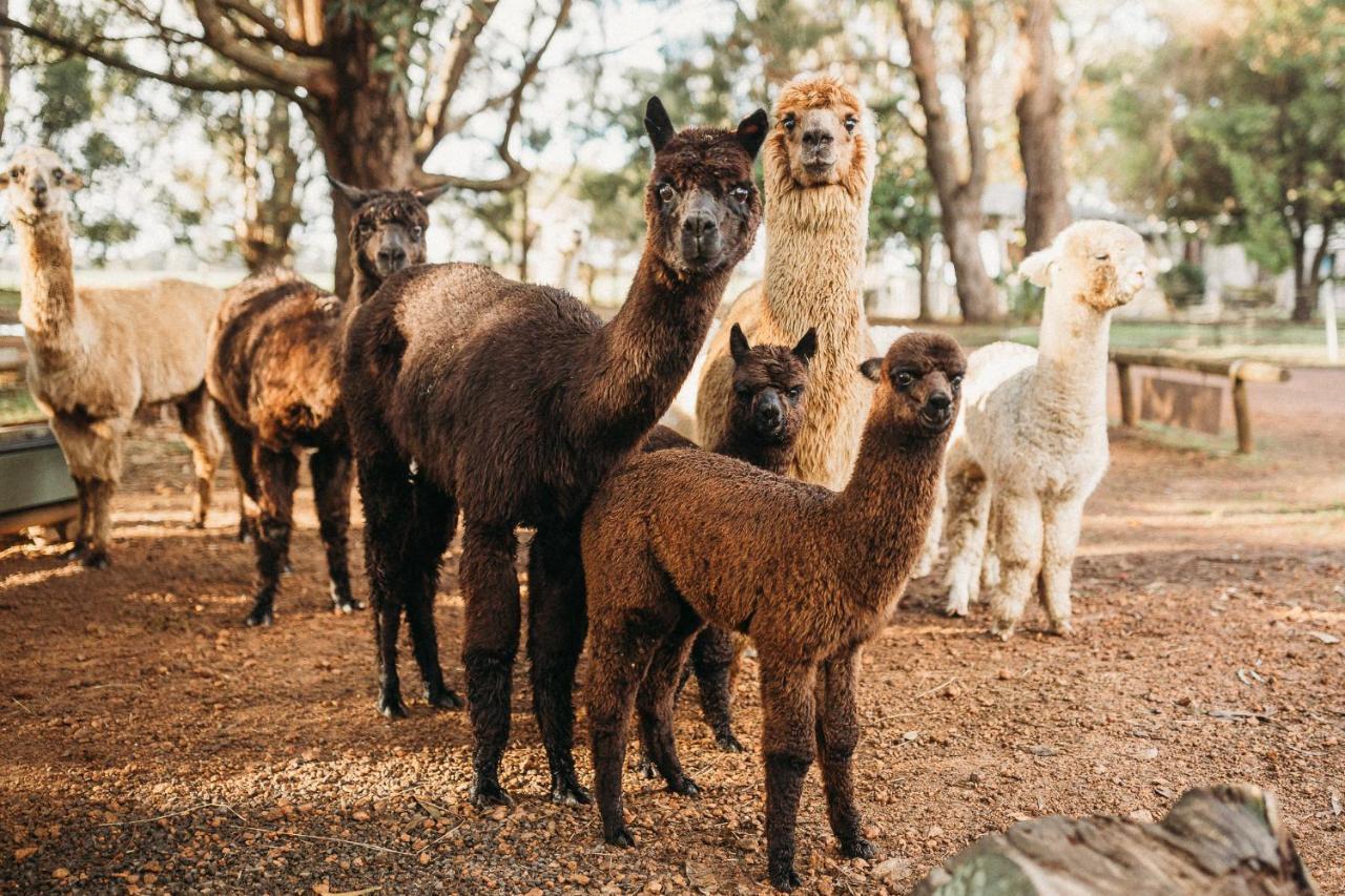 Margaret River Holiday Cottages Eksteriør bilde