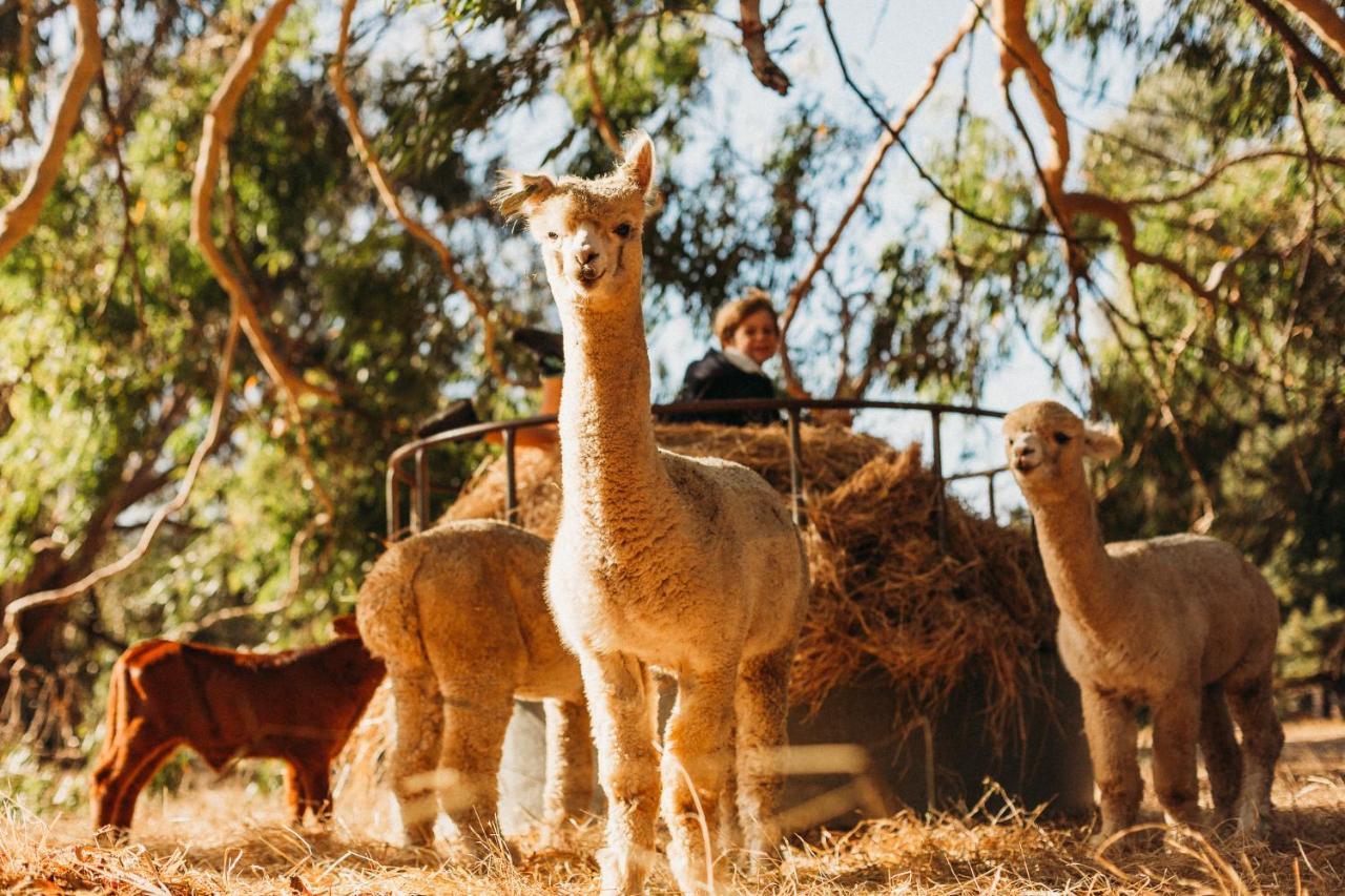 Margaret River Holiday Cottages Eksteriør bilde