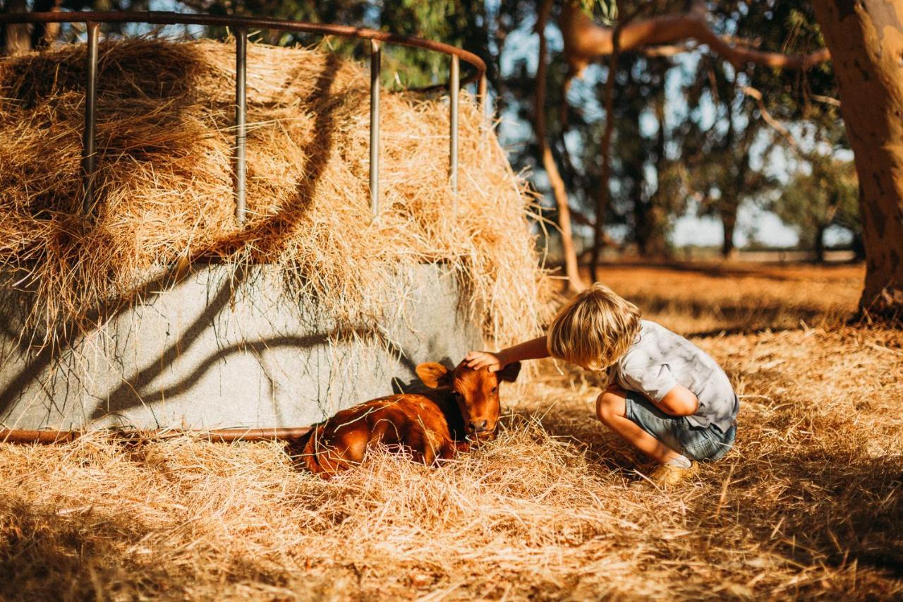 Margaret River Holiday Cottages Eksteriør bilde