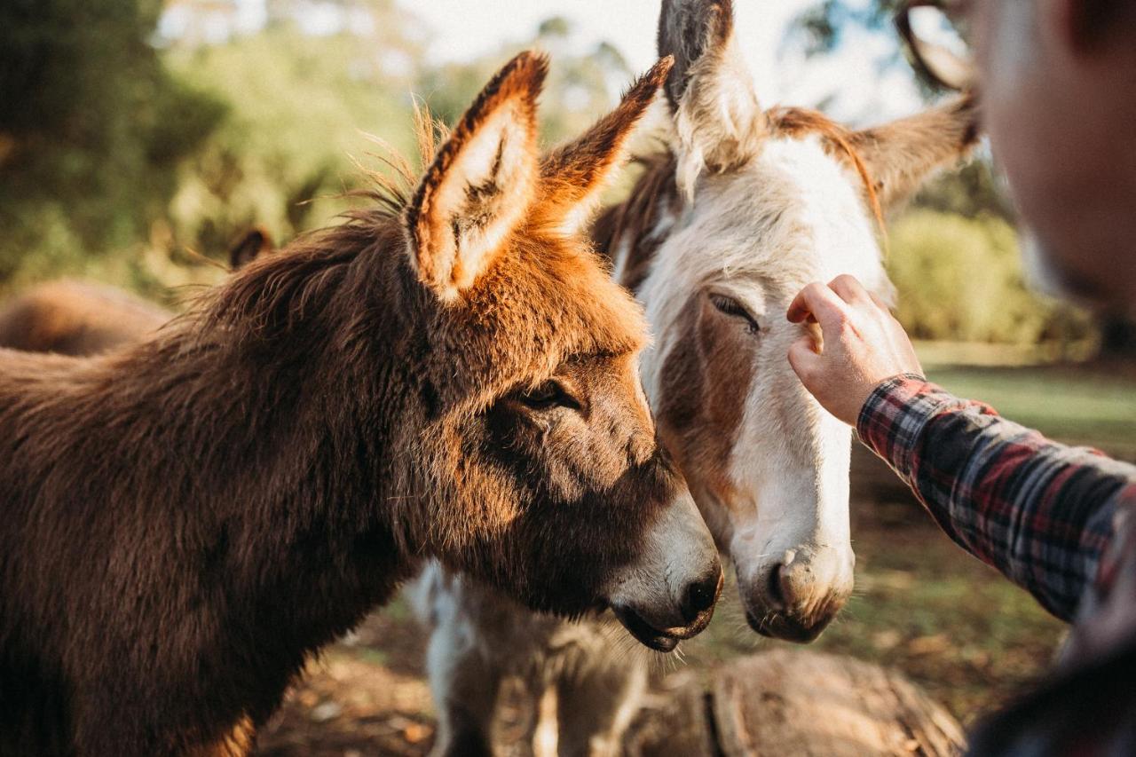 Margaret River Holiday Cottages Eksteriør bilde