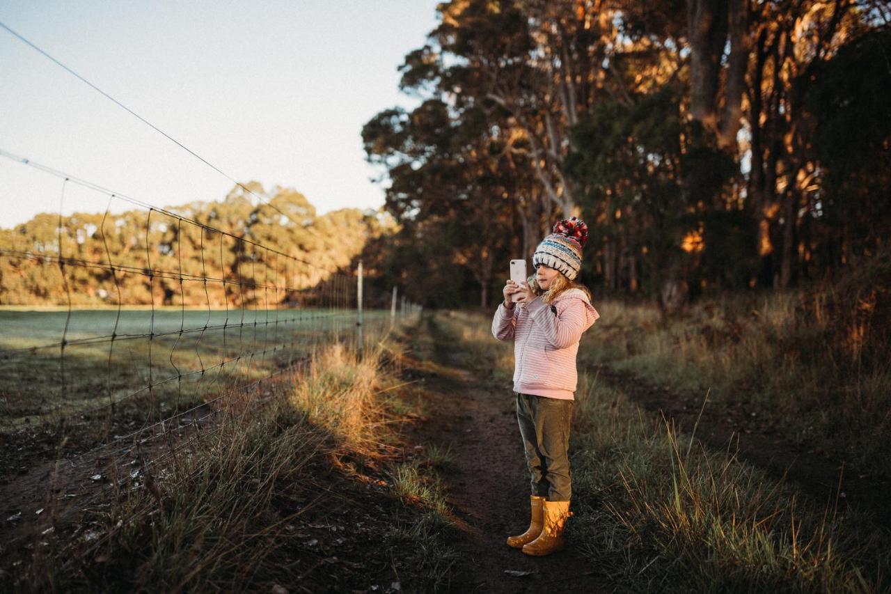 Margaret River Holiday Cottages Eksteriør bilde