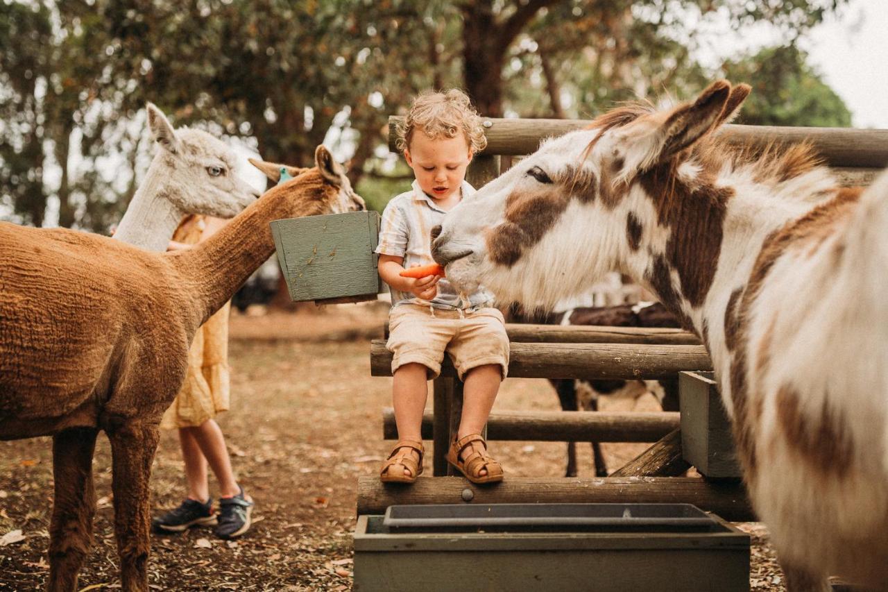 Margaret River Holiday Cottages Eksteriør bilde