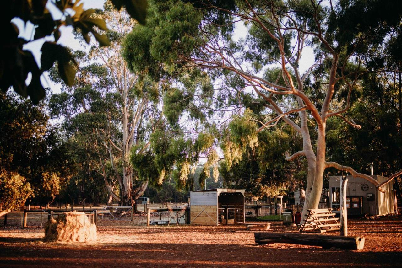 Margaret River Holiday Cottages Eksteriør bilde