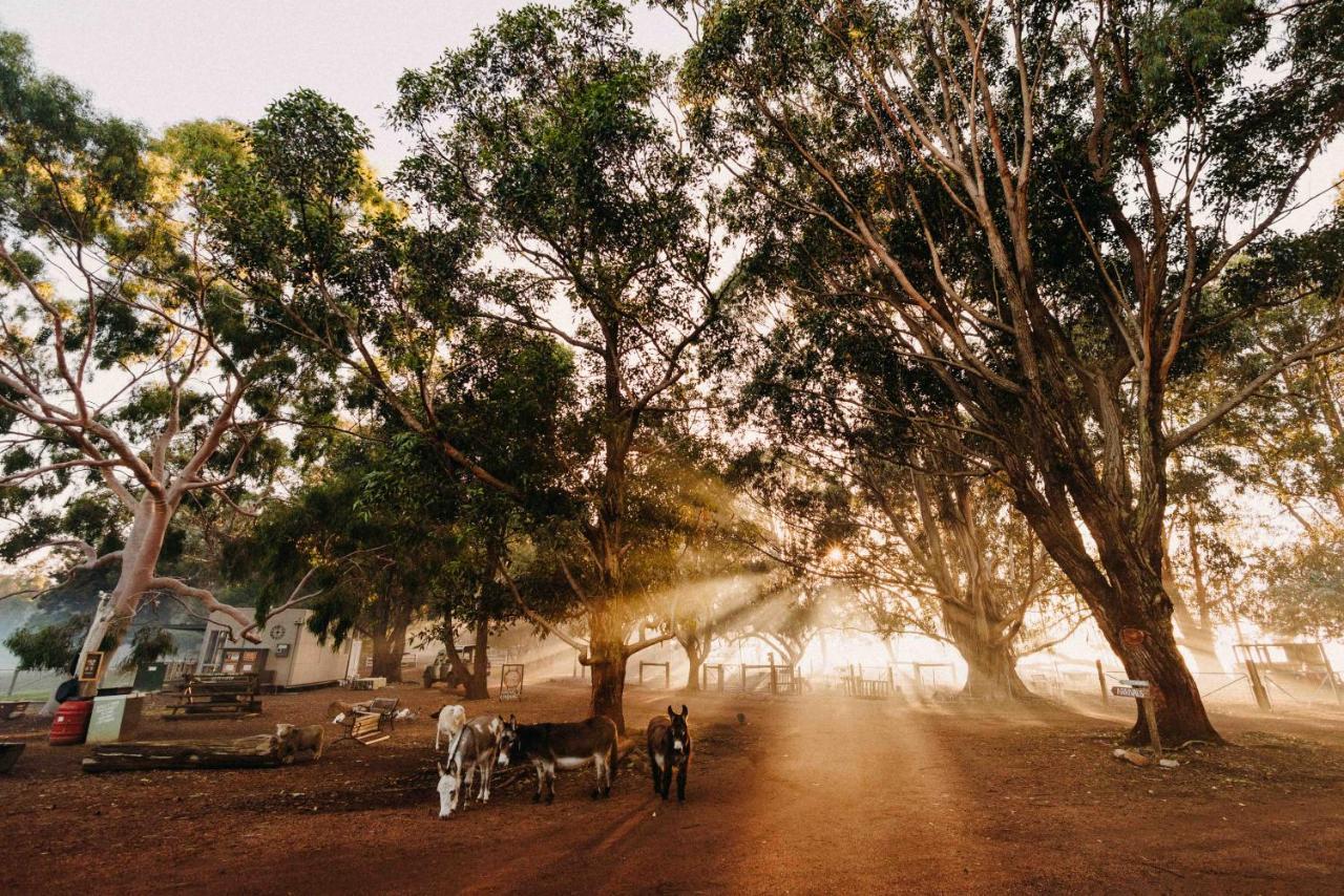 Margaret River Holiday Cottages Eksteriør bilde